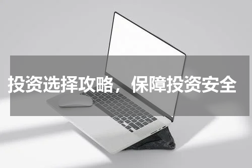 投资选择攻略，保障投资安全