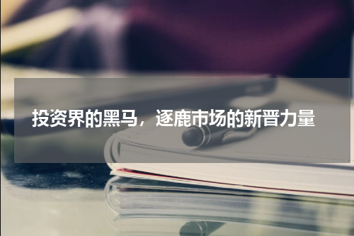  投资界的黑马，逐鹿市场的新晋力量