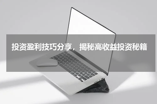  投资盈利技巧分享，揭秘高收益投资秘籍 