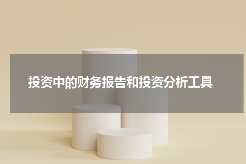  投资中的财务报告和投资分析工具