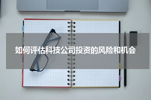 如何评估科技公司投资的风险和机会