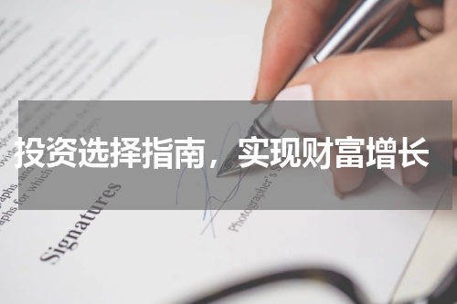  投资选择指南，实现财富增长
