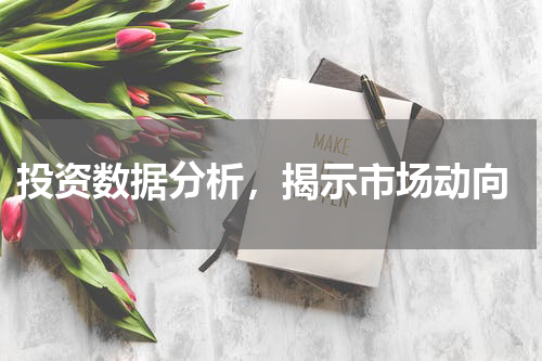  投资数据分析，揭示市场动向
