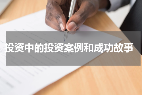  投资中的投资案例和成功故事