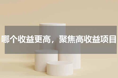 哪个收益更高，聚焦高收益项目