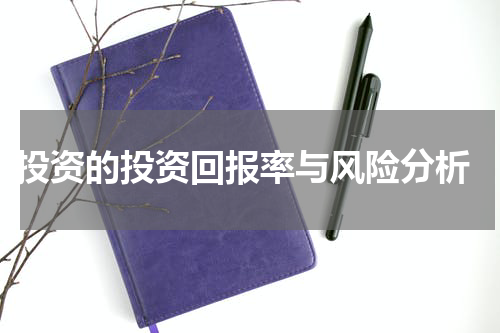  投资的投资回报率与风险分析