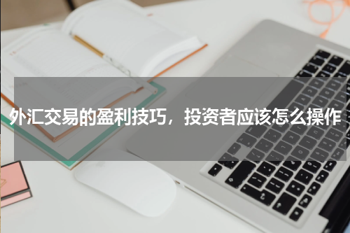 外汇交易的盈利技巧，投资者应该怎么操作
