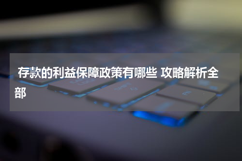  存款的利益保障政策有哪些 攻略解析全部 
