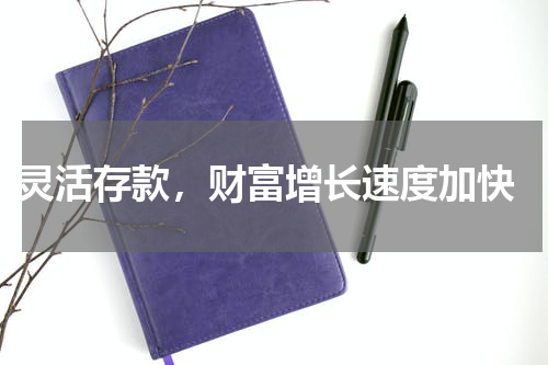  灵活存款，财富增长速度加快