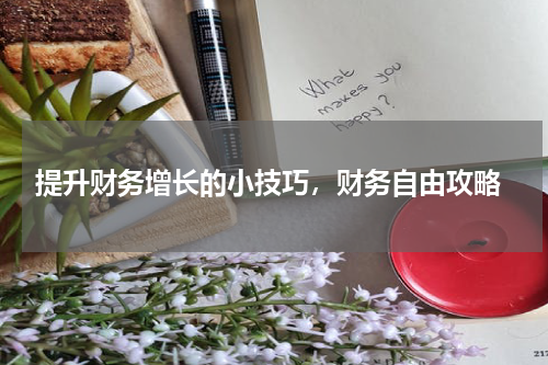  提升财务增长的小技巧，财务自由攻略