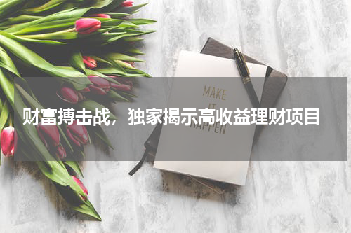  财富搏击战，独家揭示高收益理财项目