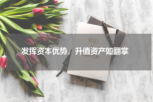 发挥资本优势，升值资产如翻掌