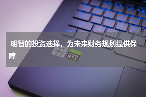  明智的投资选择，为未来财务规划提供保障