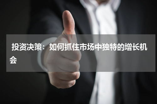  投资决策：如何抓住市场中独特的增长机会