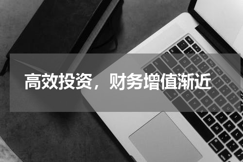  高效投资，财务增值渐近