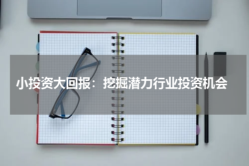  小投资大回报：挖掘潜力行业投资机会