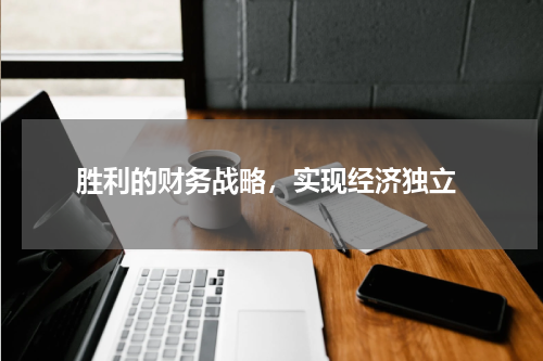  胜利的财务战略，实现经济独立