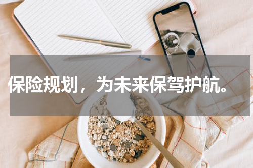  保险规划，为未来保驾护航。