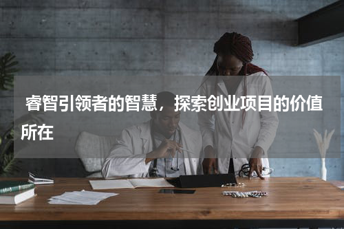  睿智引领者的智慧，探索创业项目的价值所在