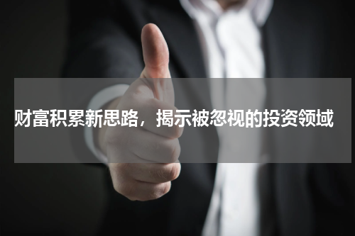  财富积累新思路，揭示被忽视的投资领域