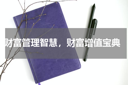  财富管理智慧，财富增值宝典