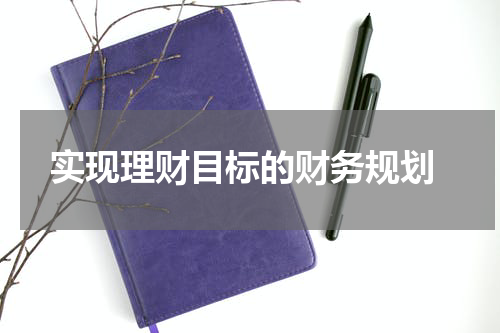  实现理财目标的财务规划