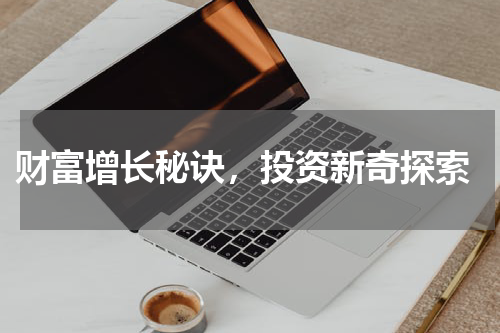 财富增长秘诀，投资新奇探索