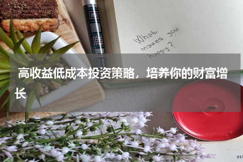  高收益低成本投资策略，培养你的财富增长