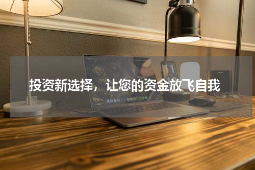  投资新选择，让您的资金放飞自我