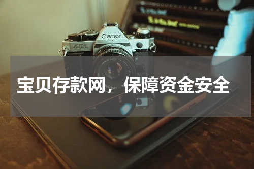  宝贝存款网，保障资金安全