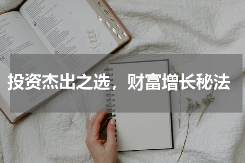  投资杰出之选，财富增长秘法