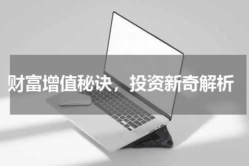  财富增值秘诀，投资新奇解析