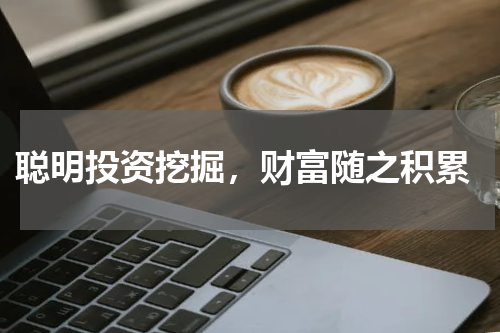  聪明投资挖掘，财富随之积累