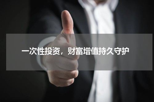  一次性投资，财富增值持久守护