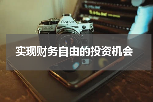  实现财务自由的投资机会