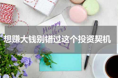  想赚大钱别错过这个投资契机