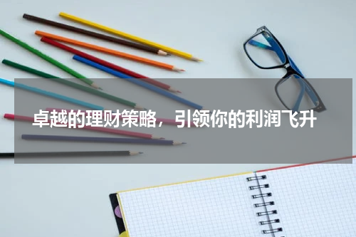  卓越的理财策略，引领你的利润飞升