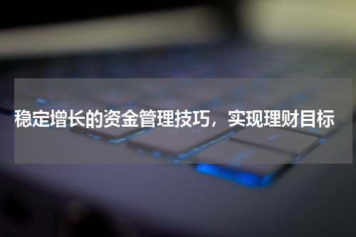  稳定增长的资金管理技巧，实现理财目标