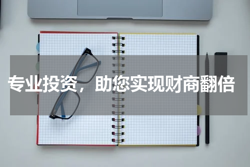  专业投资，助您实现财商翻倍