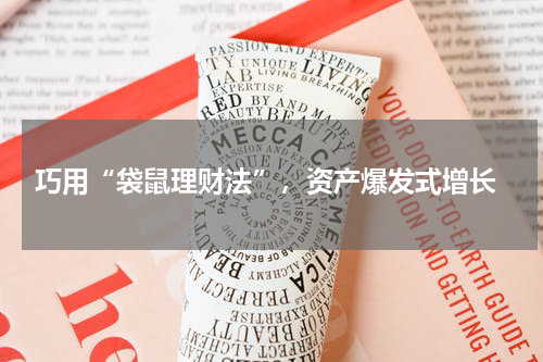  巧用“袋鼠理财法”，资产爆发式增长