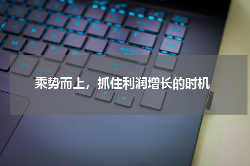  乘势而上，抓住利润增长的时机