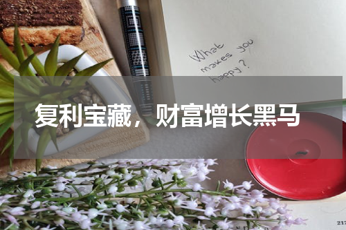  复利宝藏，财富增长黑马