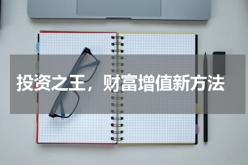  投资之王，财富增值新方法
