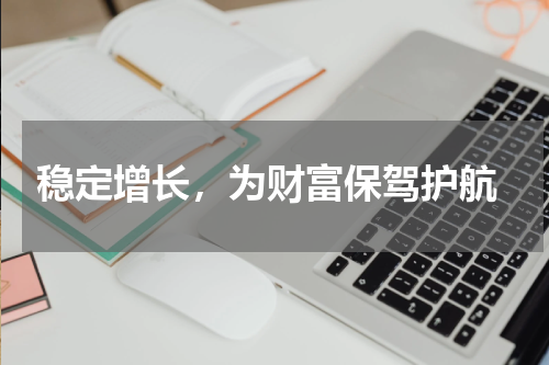  稳定增长，为财富保驾护航