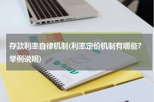 存款利率自律机制(利率定价机制有哪些?举例说明)