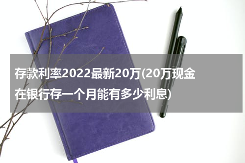 存款利率2022最新20万(20万现金在银行存一个月能有多少利息)