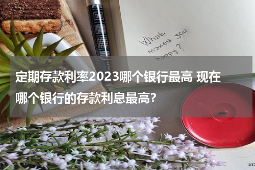 定期存款利率2023哪个银行最高 现在哪个银行的存款利息最高？