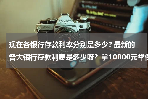 现在各银行存款利率分别是多少? 最新的各大银行存款利息是多少呀？拿10000元举例？