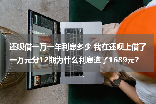 还呗借一万一年利息多少 我在还呗上借了一万元分12期为什么利息遭了1689元？