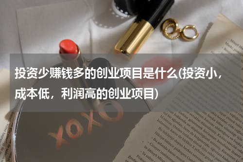 投资少赚钱多的创业项目是什么(投资小，成本低，利润高的创业项目)